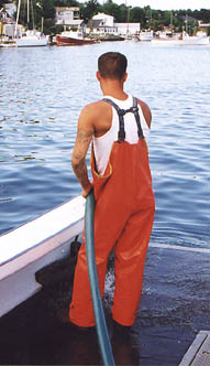 Cleaning the boat
