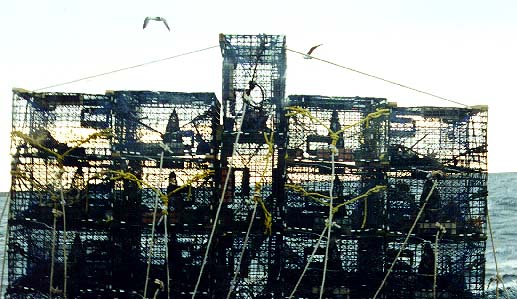 stack of traps.